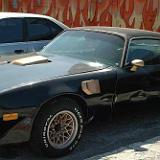 transam_01