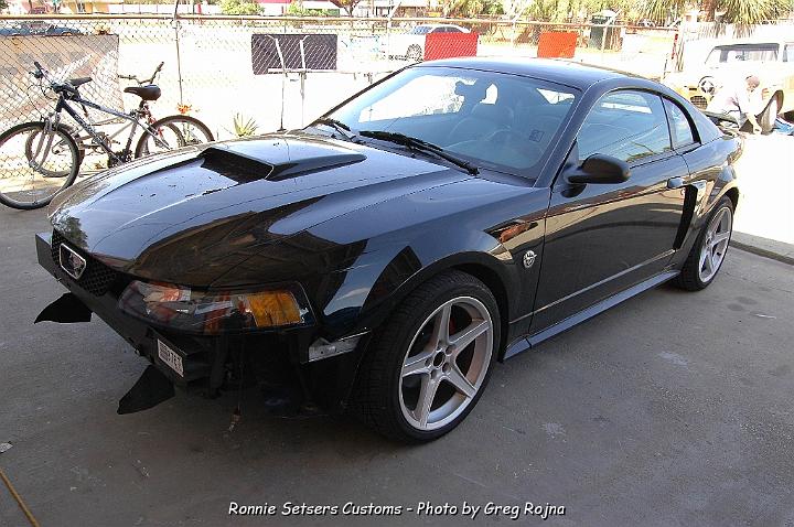 mustang_2004_01.JPG