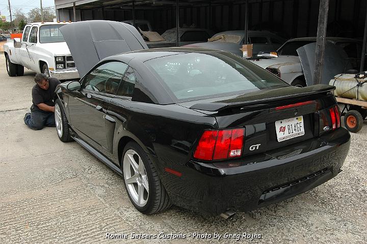 mustang_2004_10.JPG