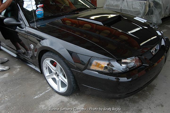 mustang_2004_42.JPG