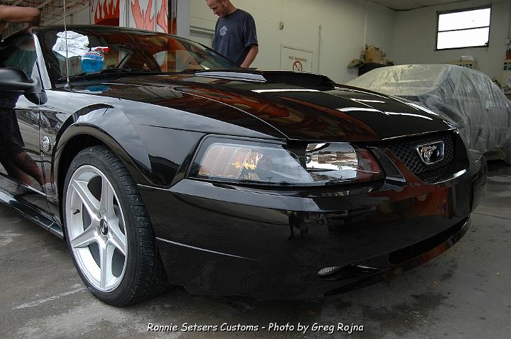 mustang_2004_43.JPG