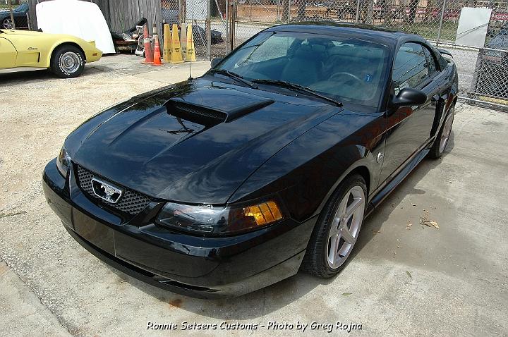 mustang_2004_45.JPG