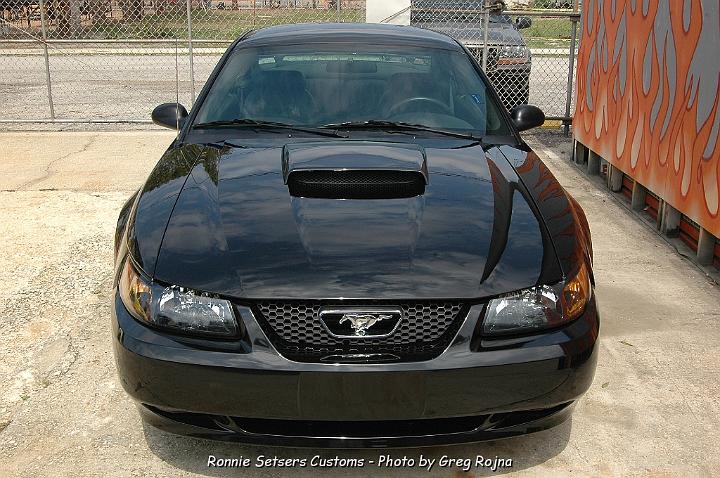 mustang_2004_47.JPG