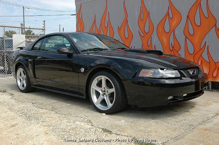 mustang_2004_50.JPG