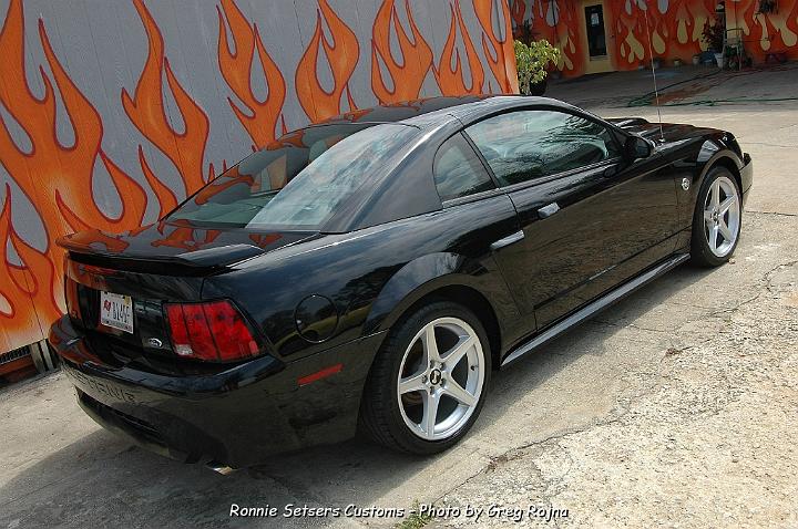 mustang_2004_54.JPG