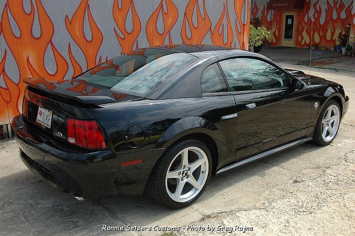 mustang_2004_55.JPG