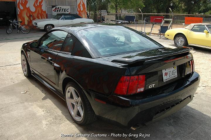 mustang_2004_59.JPG