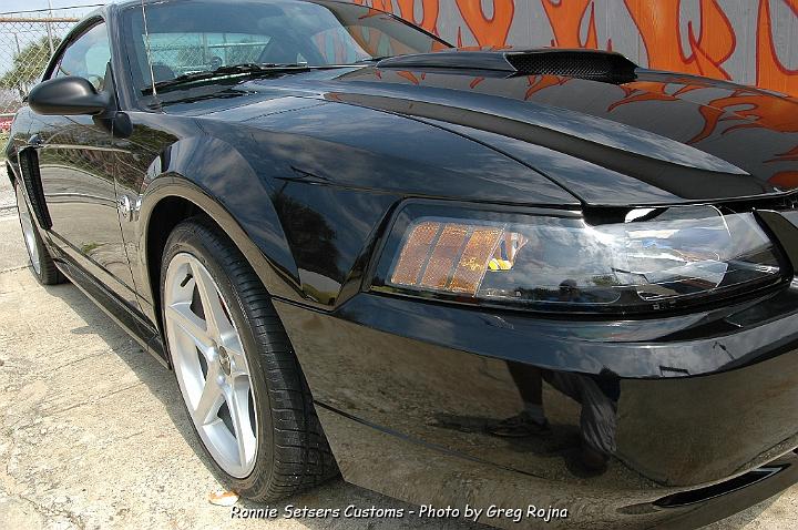 mustang_2004_64.JPG