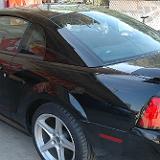 mustang_2004_07