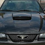 mustang_2004_47