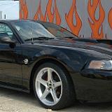 mustang_2004_50