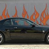 mustang_2004_52