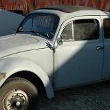 vw_bug_02