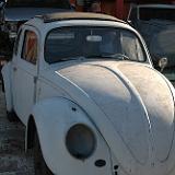 vw_bug_03