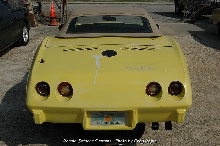 stingray_007.JPG