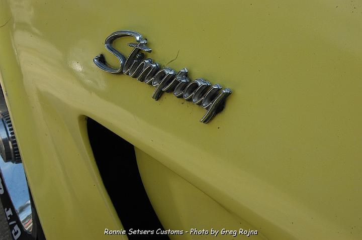 stingray_024.JPG