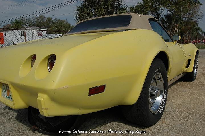 stingray_042.JPG