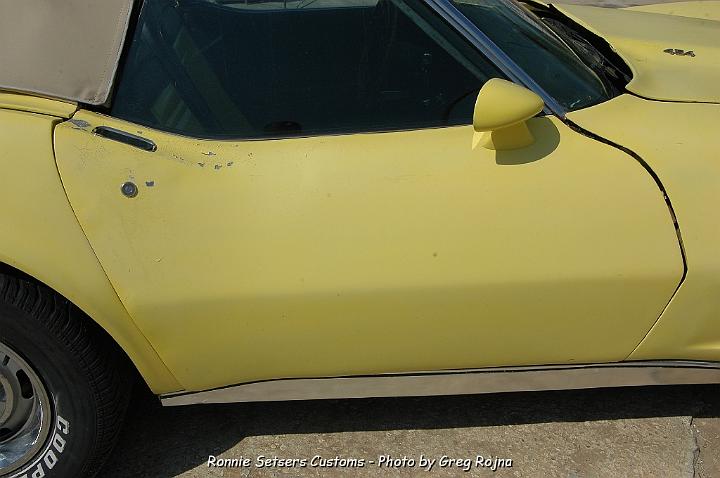 stingray_044.JPG