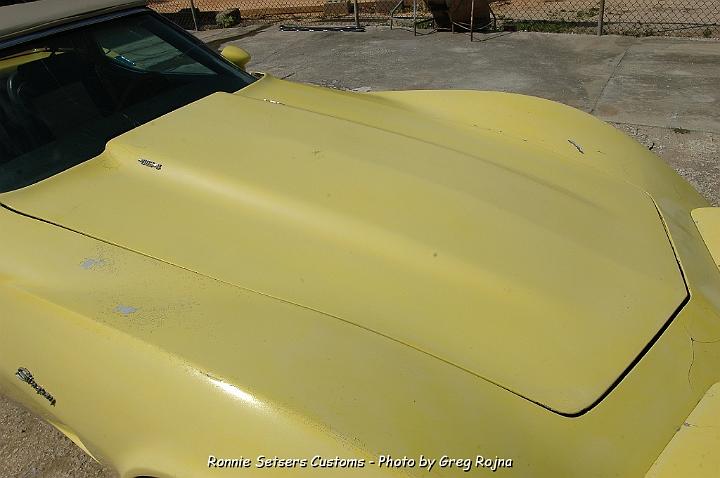 stingray_047.JPG