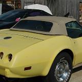 stingray_005