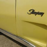 stingray_028