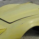 stingray_058