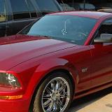 mustang_05-01