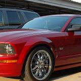 mustang_05-02