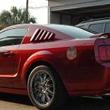 mustang_05-04