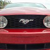 mustang_05-101