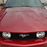 mustang_05-102