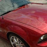 mustang_05-125