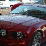 mustang_05-65