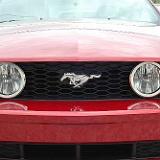 mustang_05-73