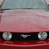 mustang_05-74