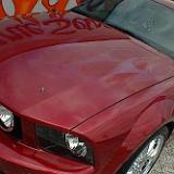 mustang_05-91